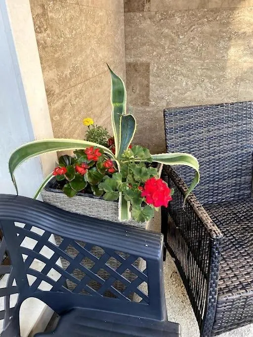 Casa Del Sole - Beautiful Studio In Varna Bulgaria Lägenhet